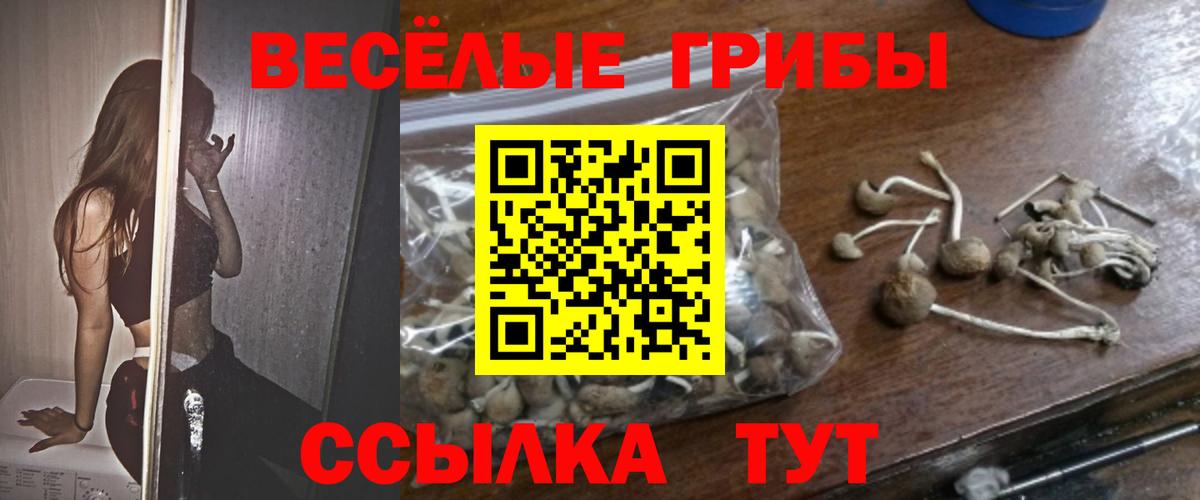 Донской  Псилоцибиновые грибы мицелий  Псилоцибиновые грибы мицелий  Вход с VPN 